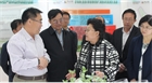 市委副書記、代市長艾麗華來我公司考察、調(diào)研